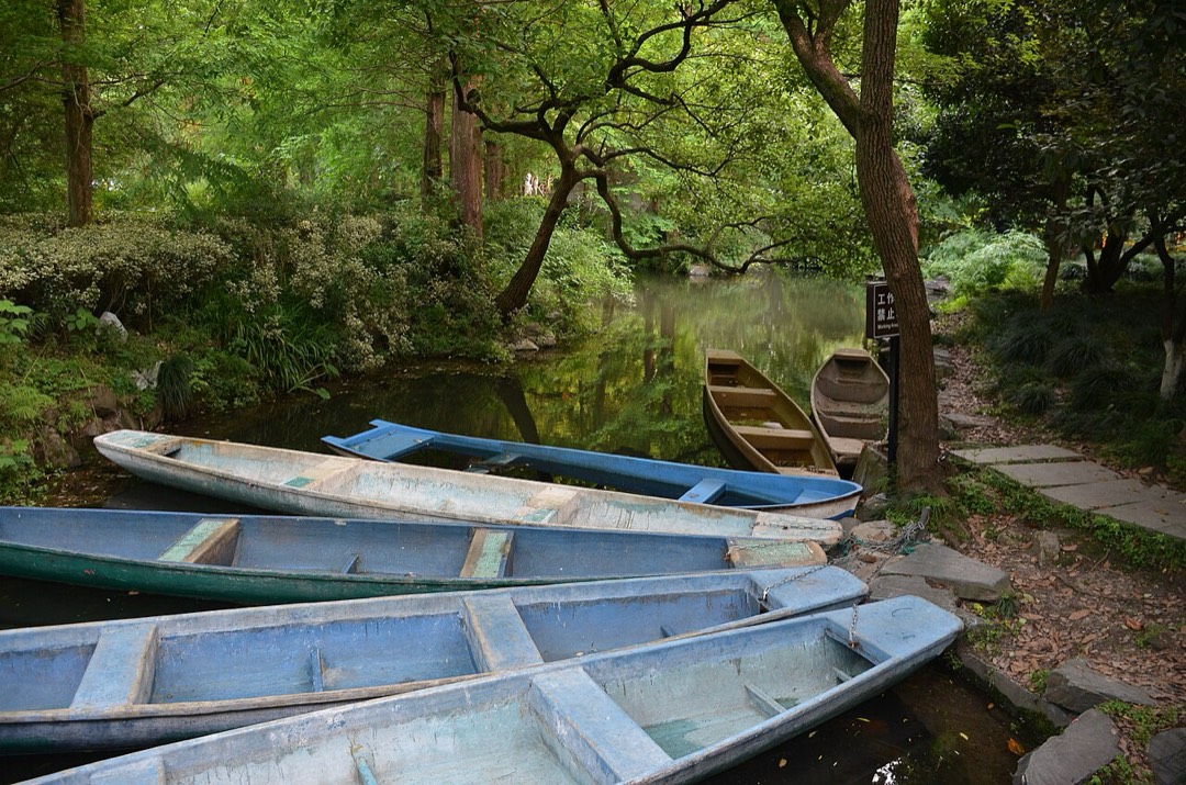 西溪湿地水道上的摇橹船