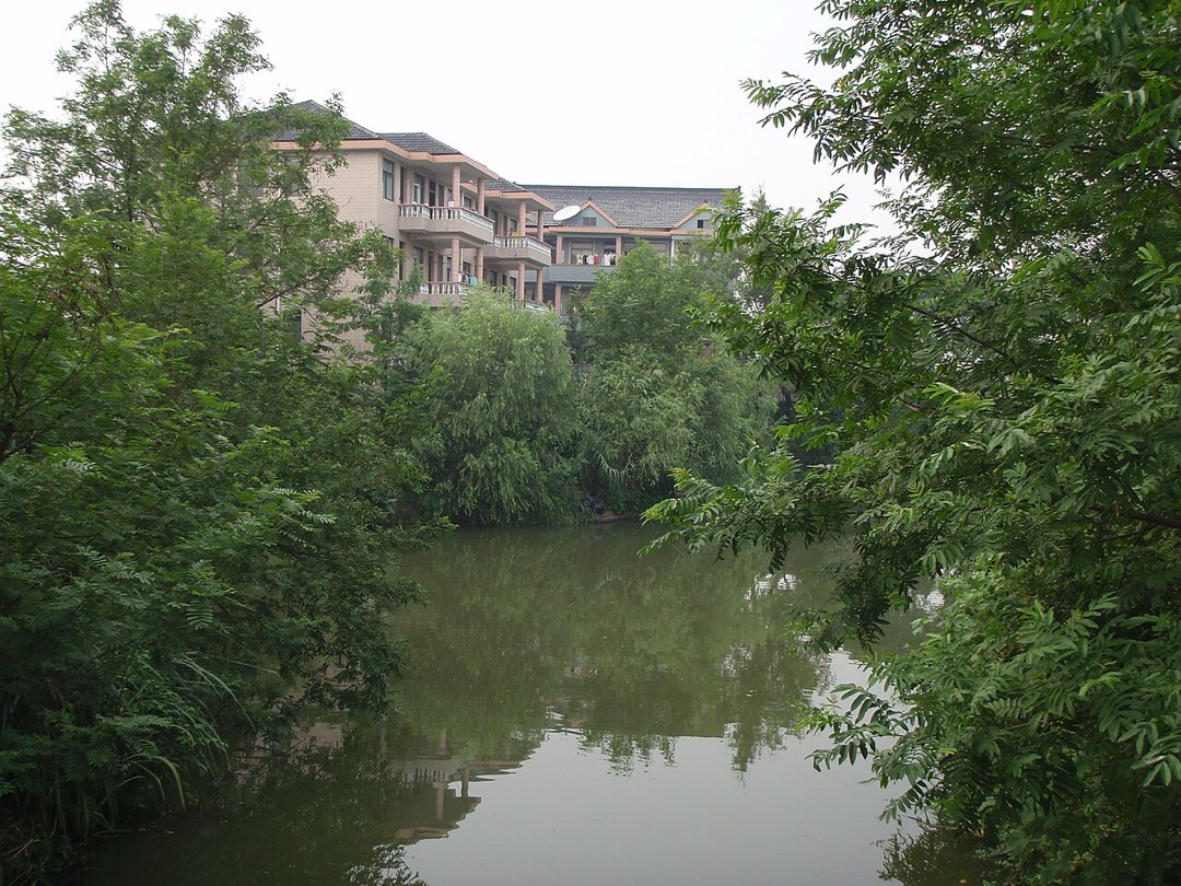 西溪国家湿地公园的河道