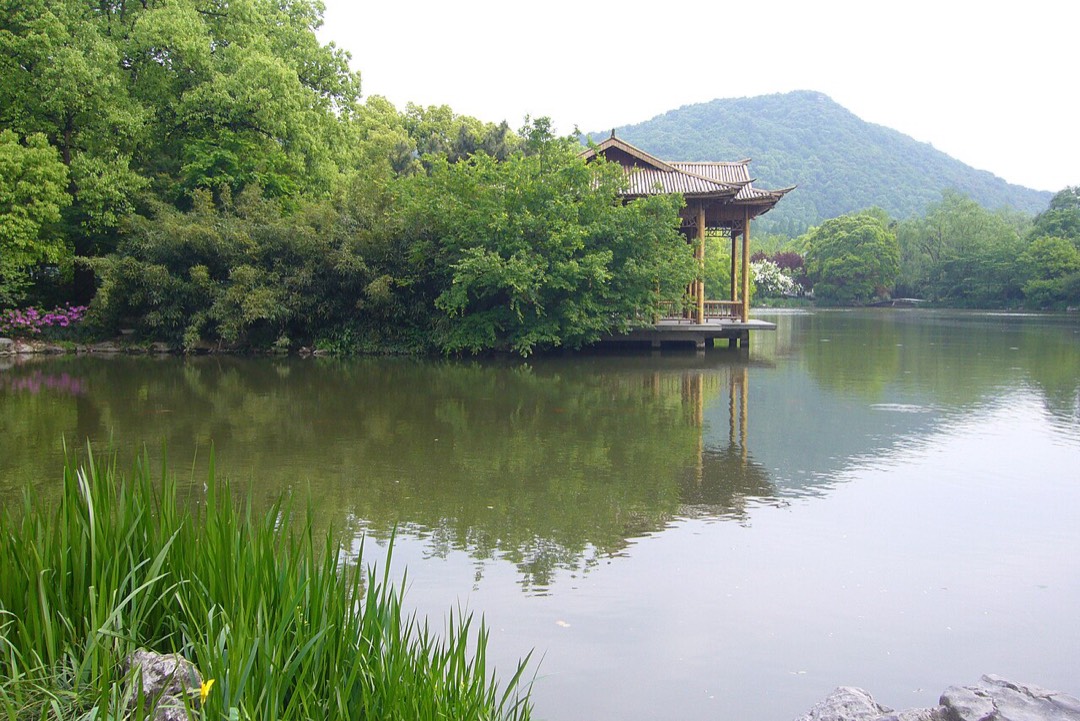 西溪国家湿地公园的水面与岸边绿植